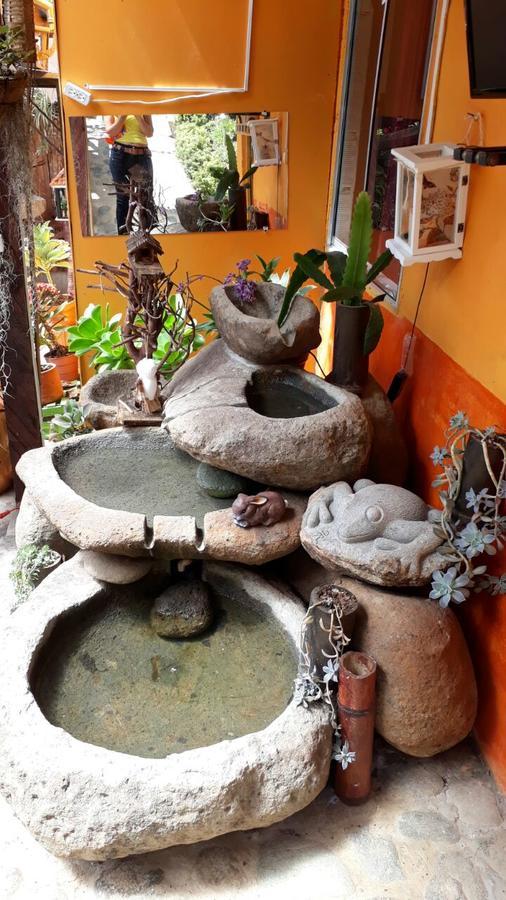 Cabanas El Rincon Paisa Hotel Jericoc  Ngoại thất bức ảnh