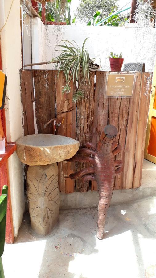 Cabanas El Rincon Paisa Hotel Jericoc  Ngoại thất bức ảnh