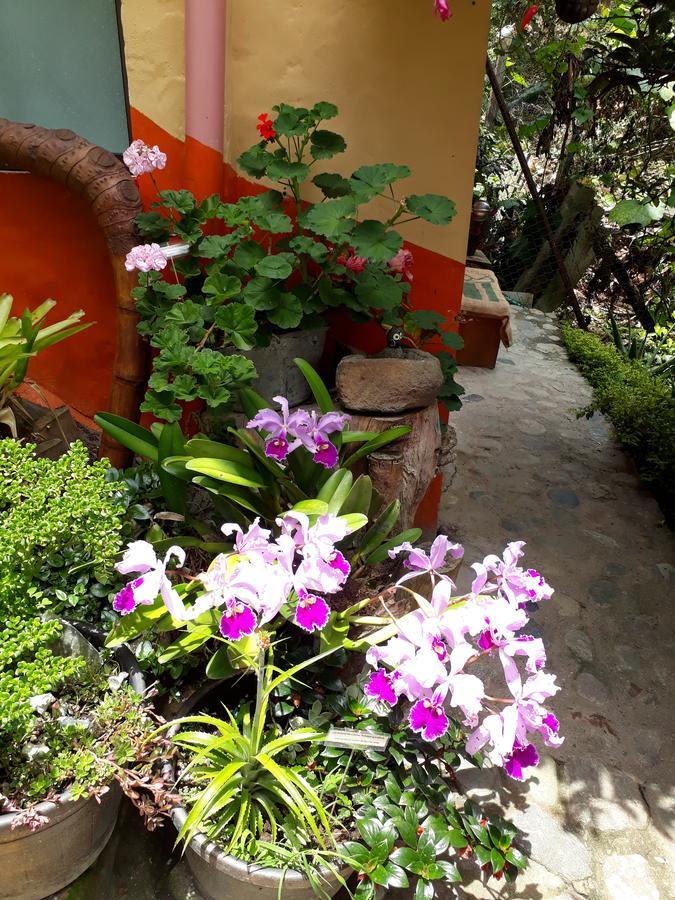 Cabanas El Rincon Paisa Hotel Jericoc  Ngoại thất bức ảnh